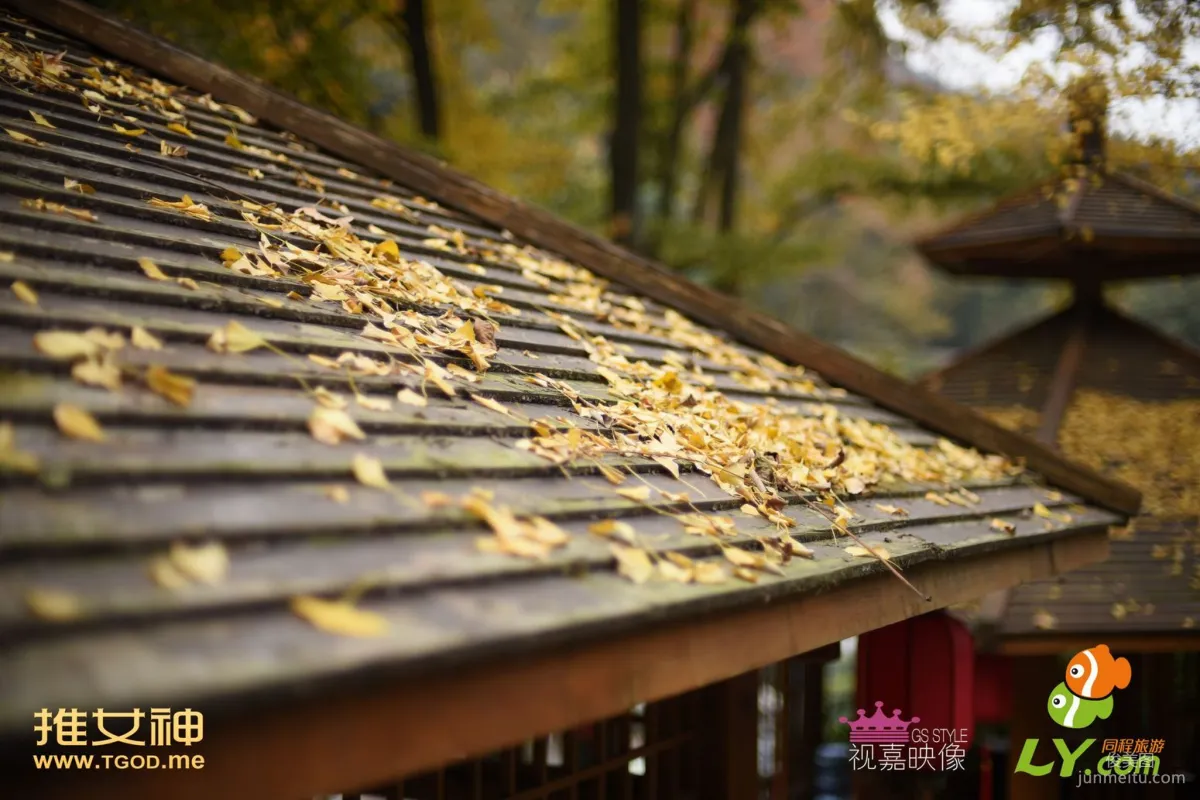 Dai Weiyi: TGOD photo 33