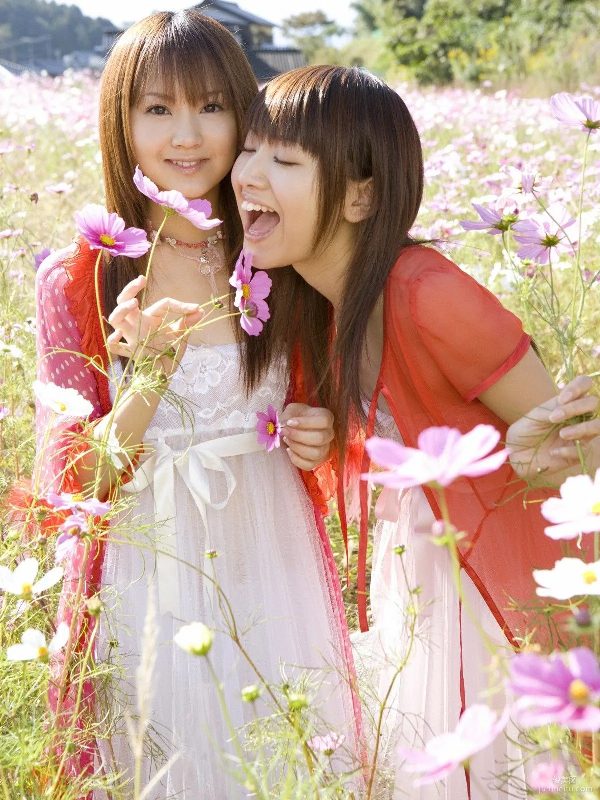 Shoko Hamada: Sabra.net photo 22