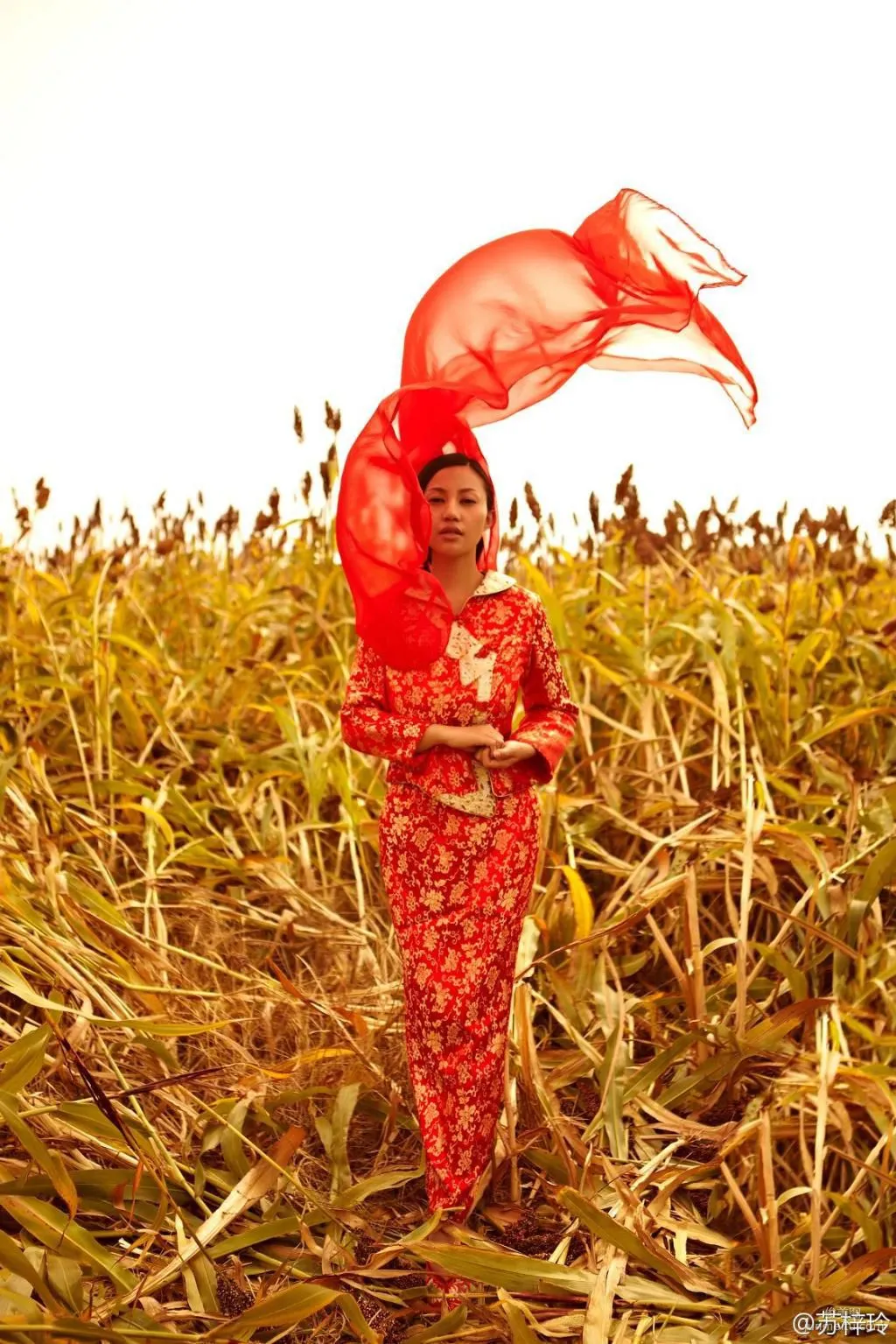 Su Ziling: Web Idols photo 7