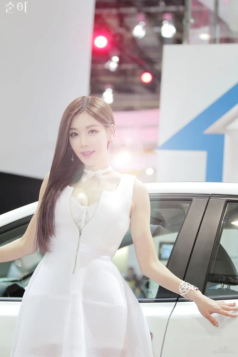 Korean Car Model Li Zhenying, Auto Show Picture Series, Compilation photo 21