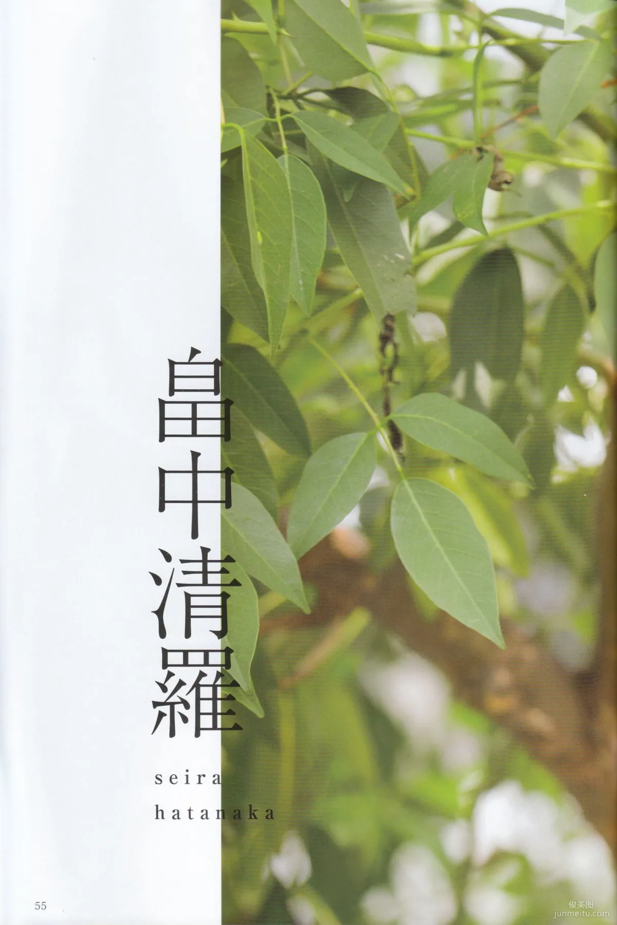 《季刊 乃木坂46 vol.3 涼秋》全本 寫真書 54