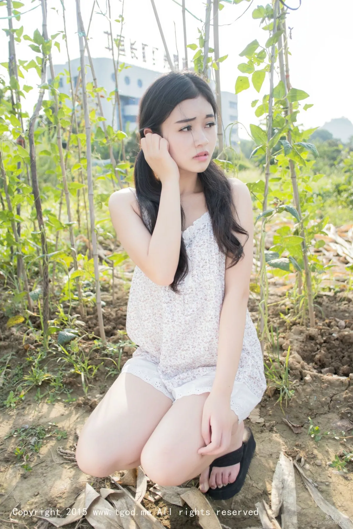 Guowei Baozi: TGOD photo 25