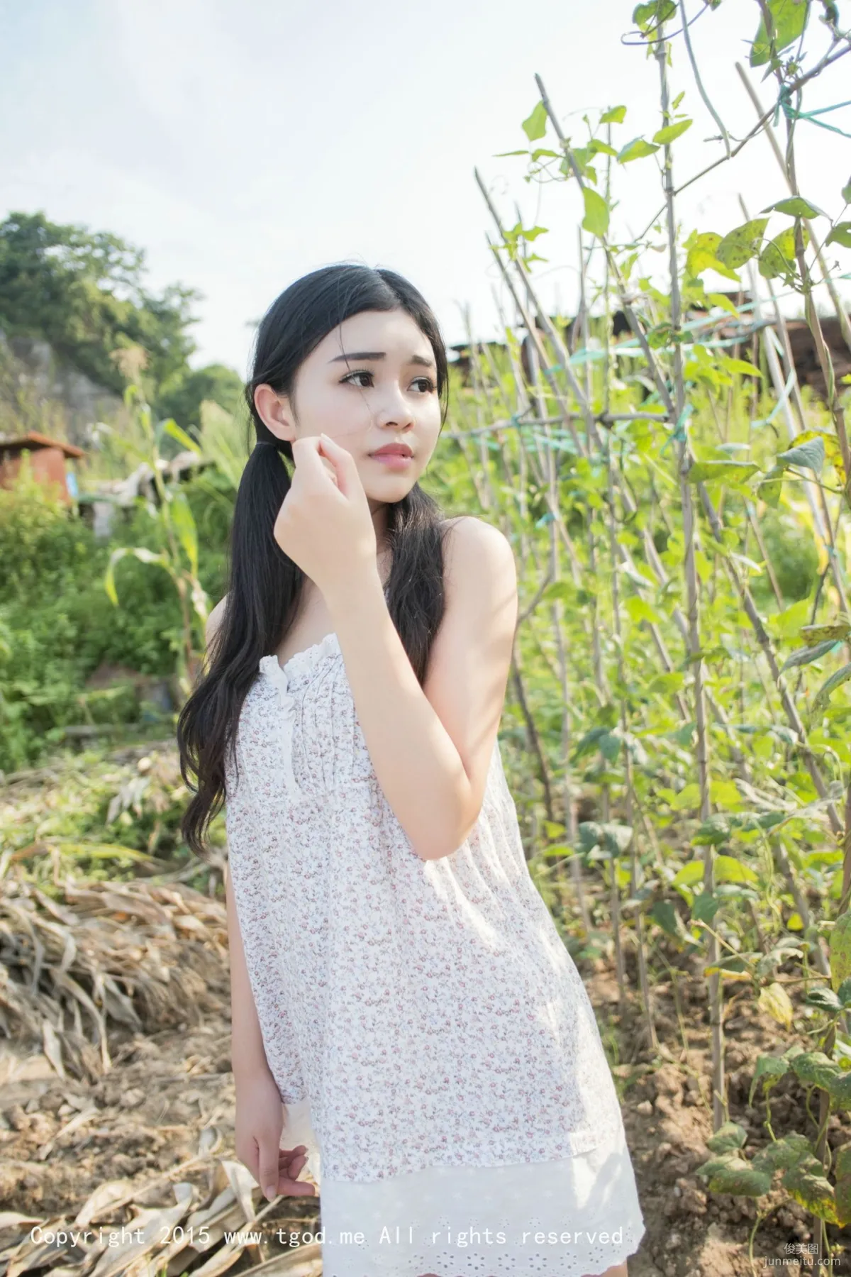 Guowei Baozi: TGOD photo 22