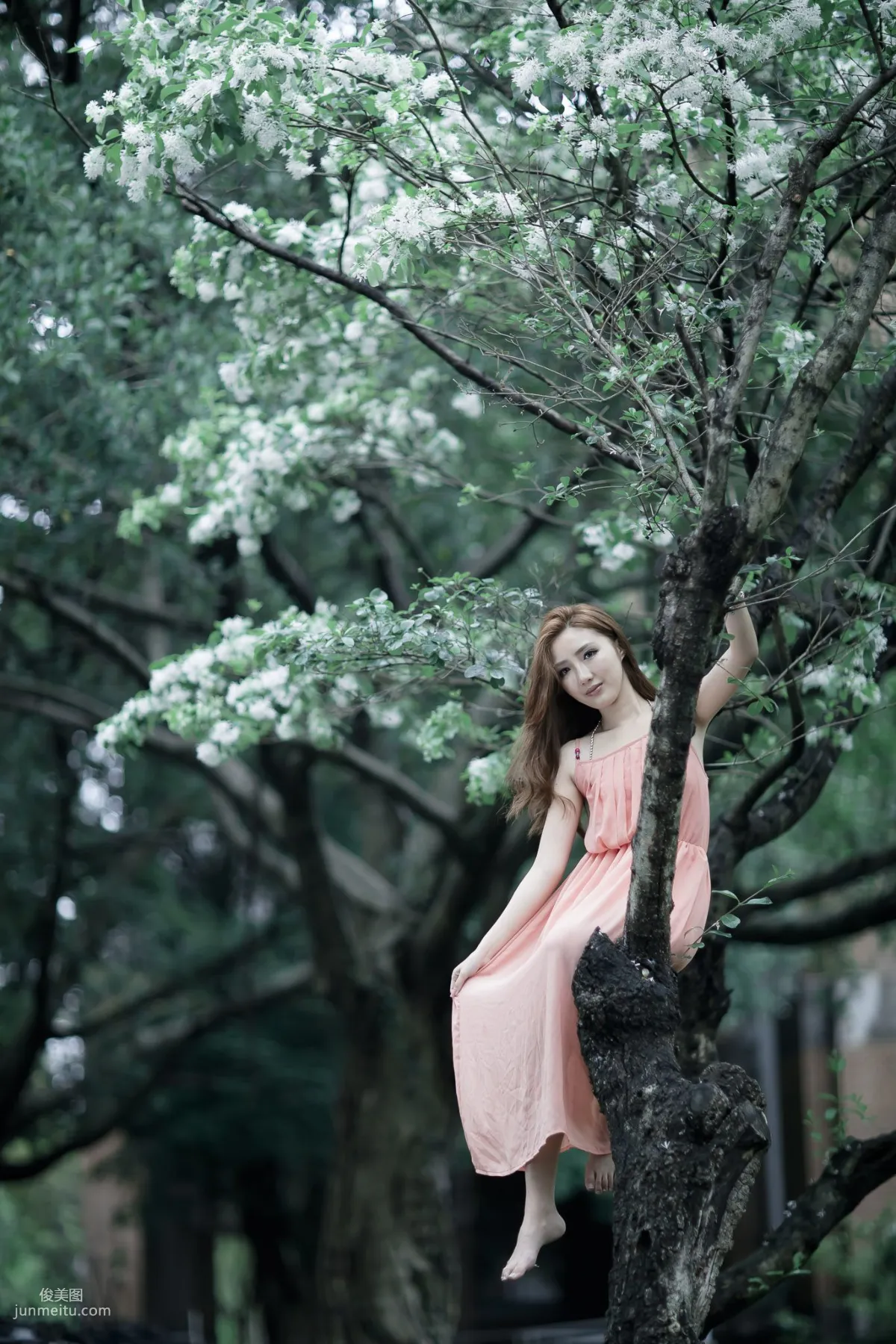 Taiwan Goddess Syuan Zhao Yun, Zhishan Garden Outdoor Photo Set photo 24