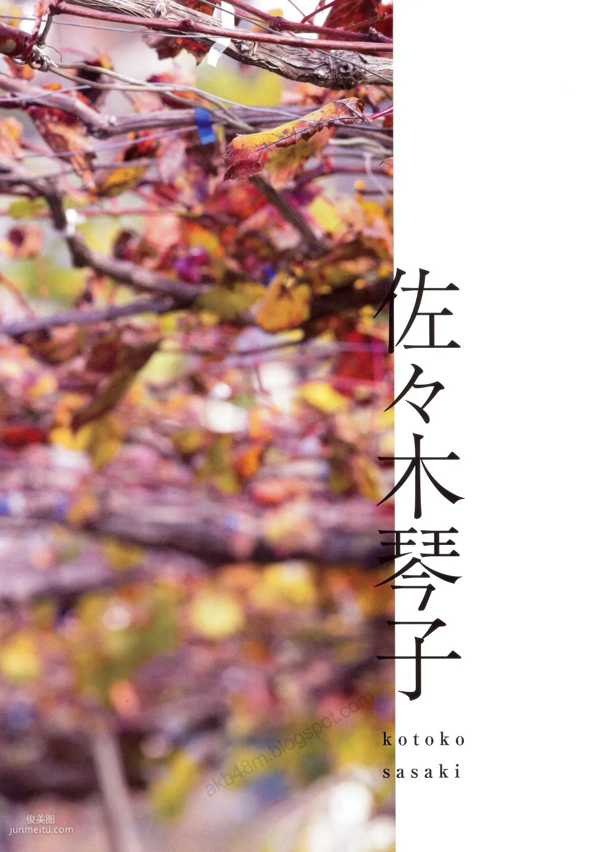 乃木坂46 《Winter 彩冬》 [PB寫真集 季刊 58