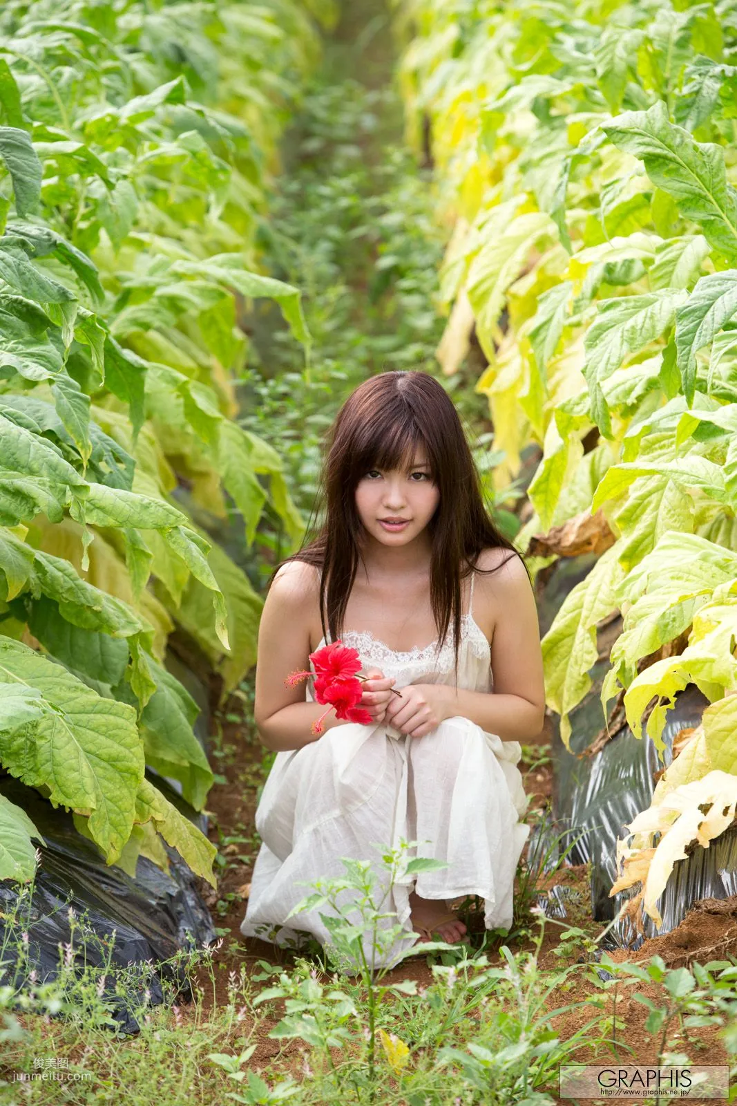 Mei Hayama [Graphis] First Gravure, First Nude Girl Photo Set photo 4