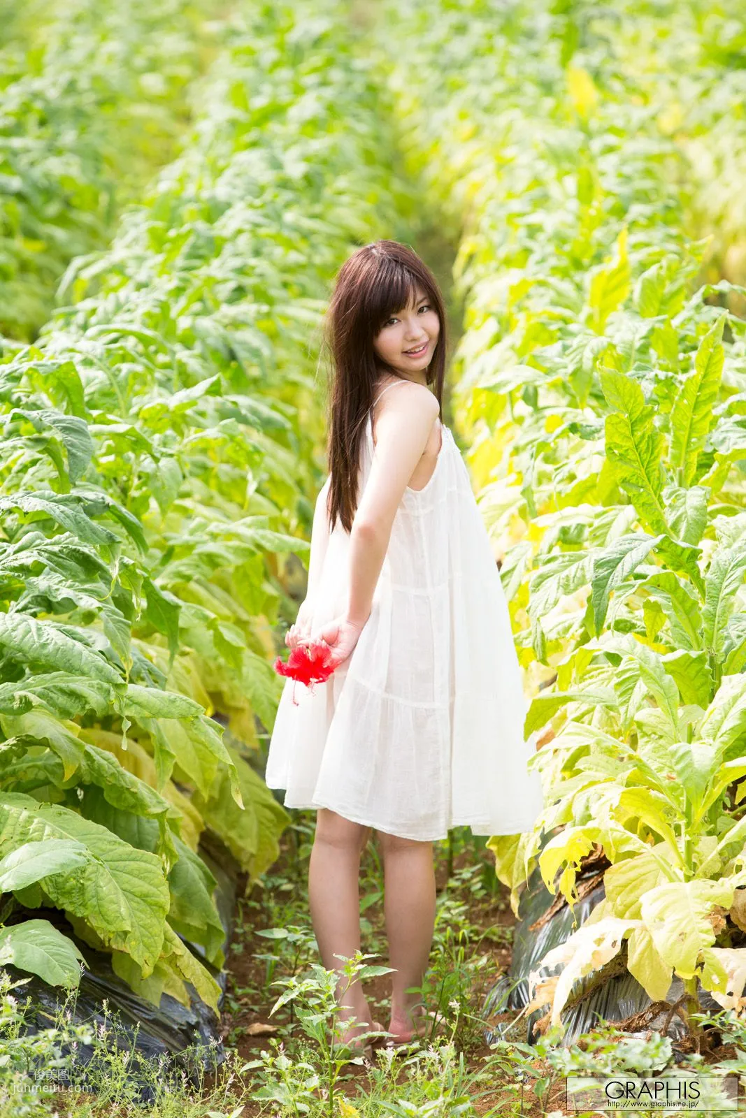 Mei Hayama [Graphis] First Gravure, First Nude Girl Photo Set photo 3