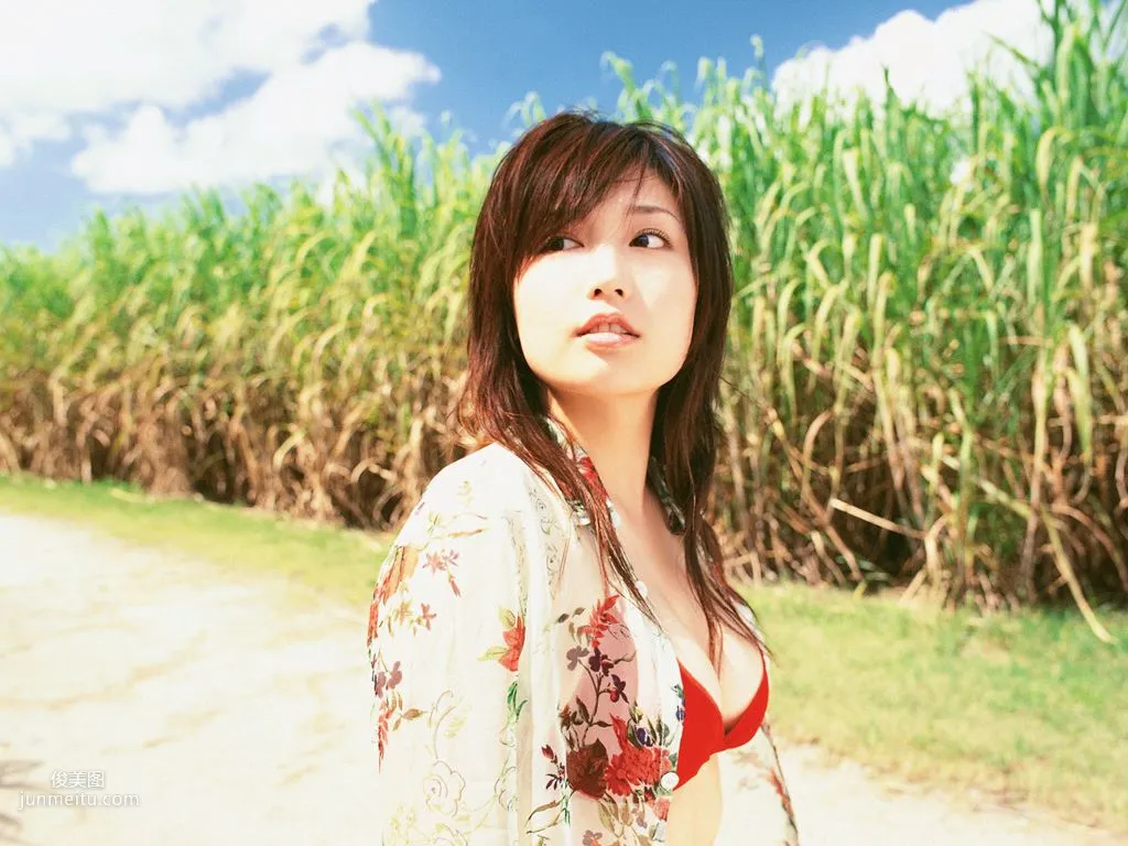 [Wanibooks] NO.08 Yoko Mitsuya Photo Set photo 145