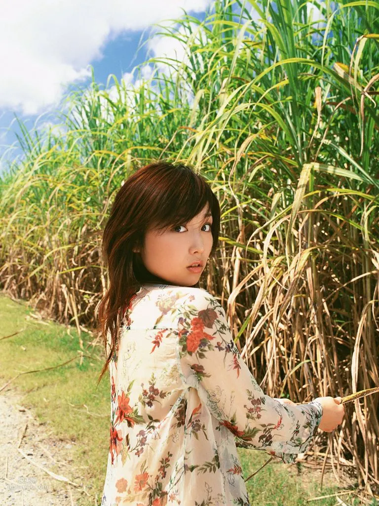 [Wanibooks] NO.08 Yoko Mitsuya Photo Set photo 194