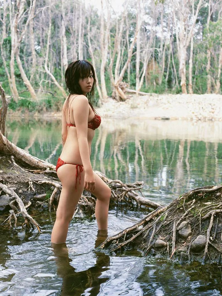 [Wanibooks] NO.08 Yoko Mitsuya Photo Set photo 182
