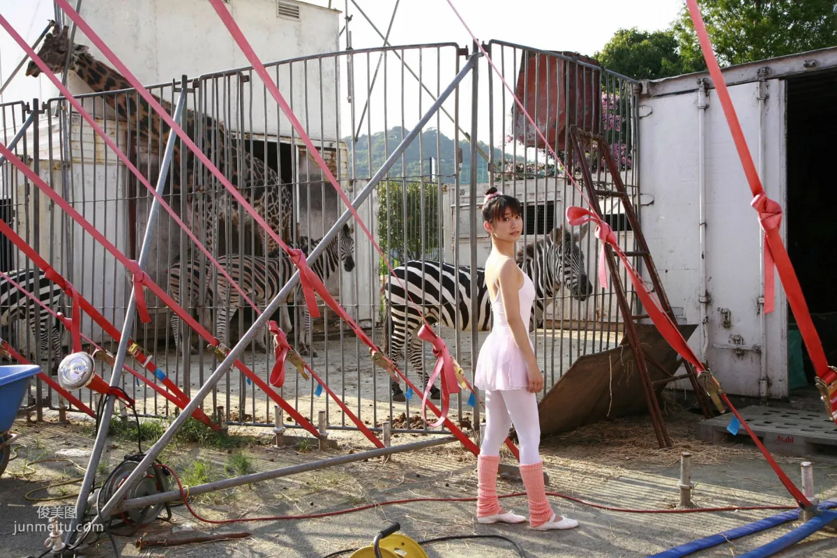 [Wanibooks] NO.67 Yuko Ooshima Yuko Oshima Photo Set photo 171