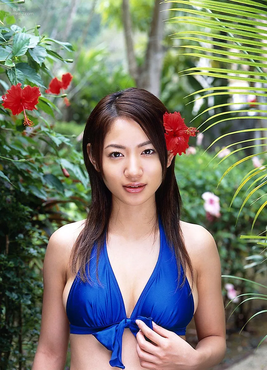 [DGC] NO.015 Ayumi Ninomiya Photo Set photo 12