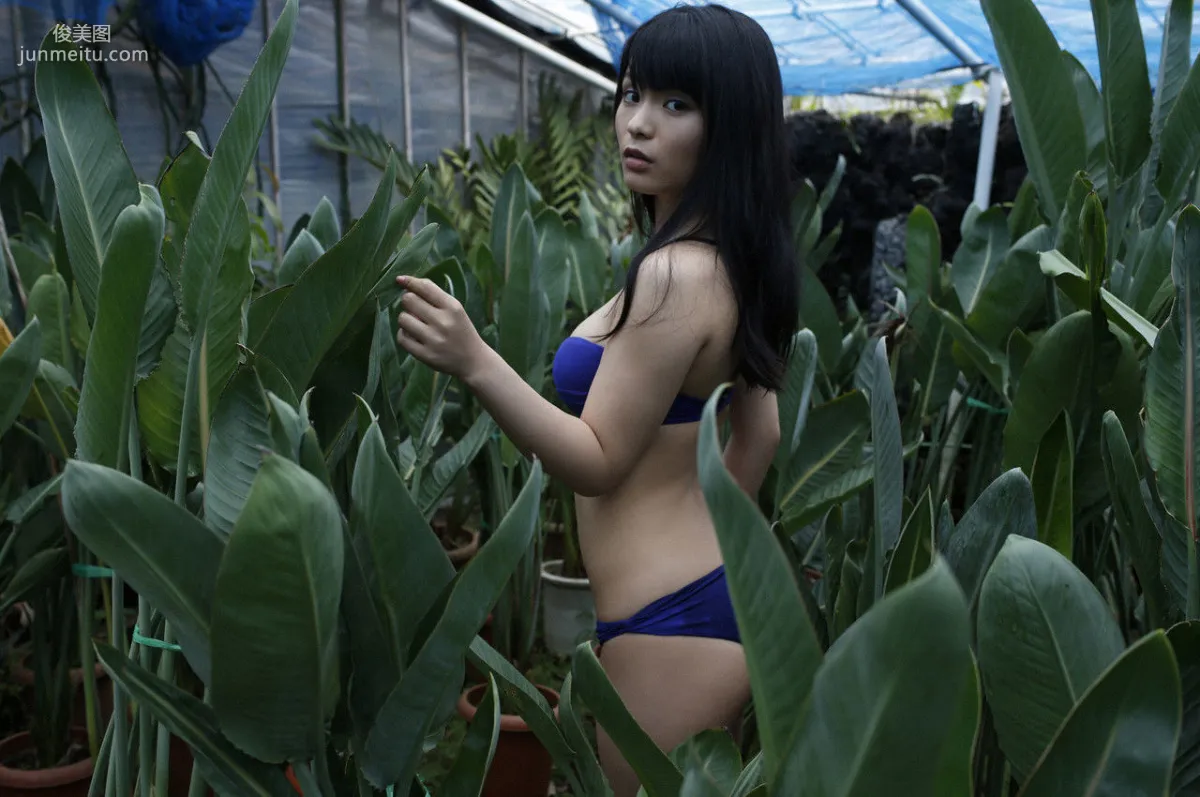 Mizuki Hoshina [WPB-net] No.172 Photo Set photo 135