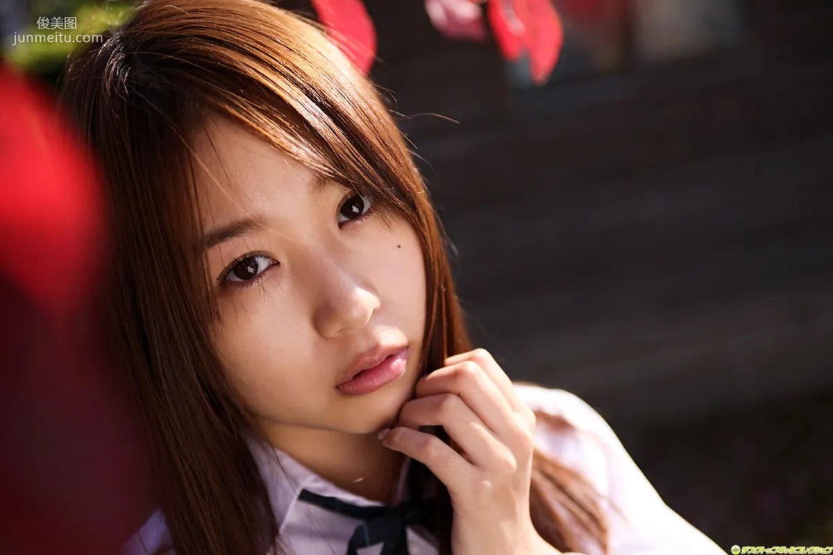 [DGC] NO.915 Mai Nishida Gravure Idols Photo Set photo 74