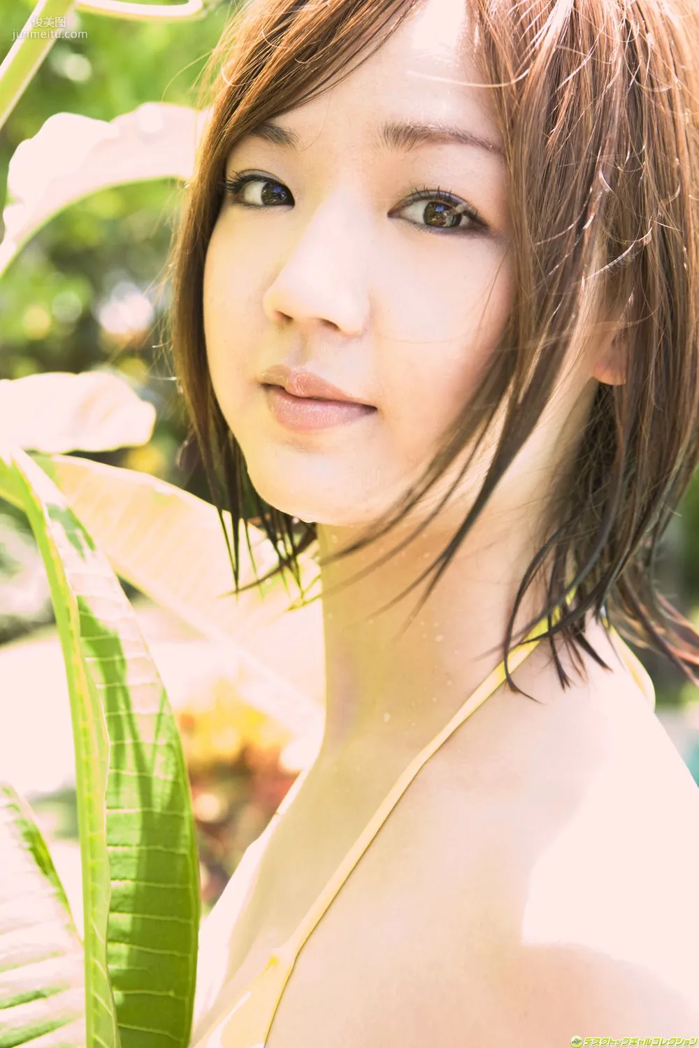 [DGC] NO.842 Asami Tani Photo Set photo 69