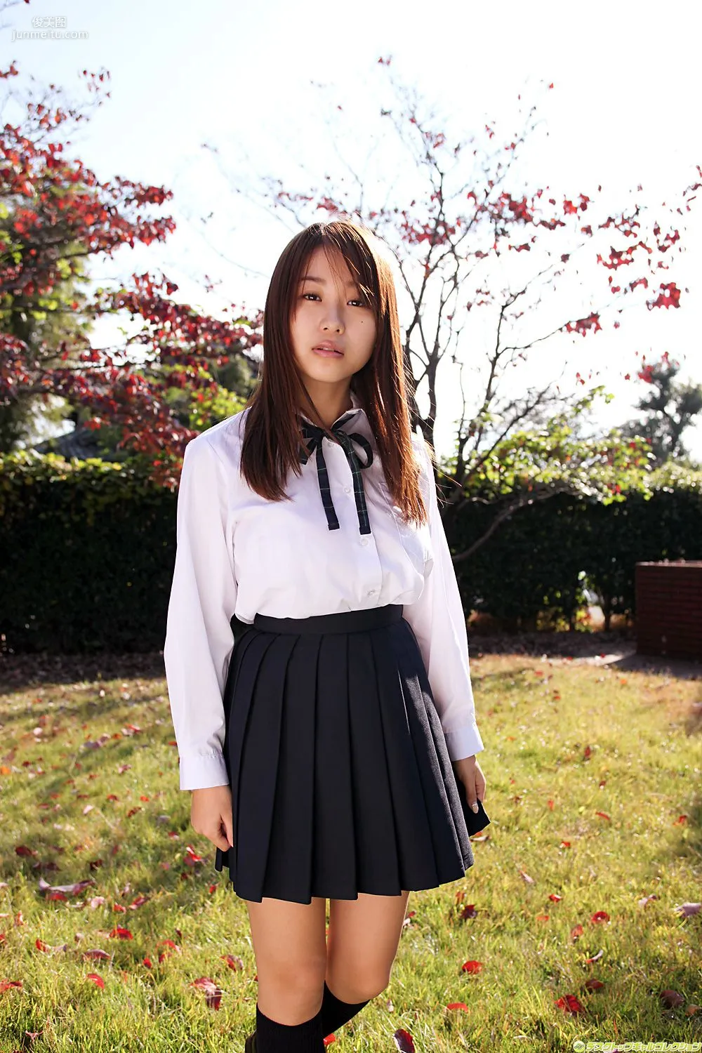 [DGC] NO.915 Mai Nishida Gravure Idols Photo Set photo 41