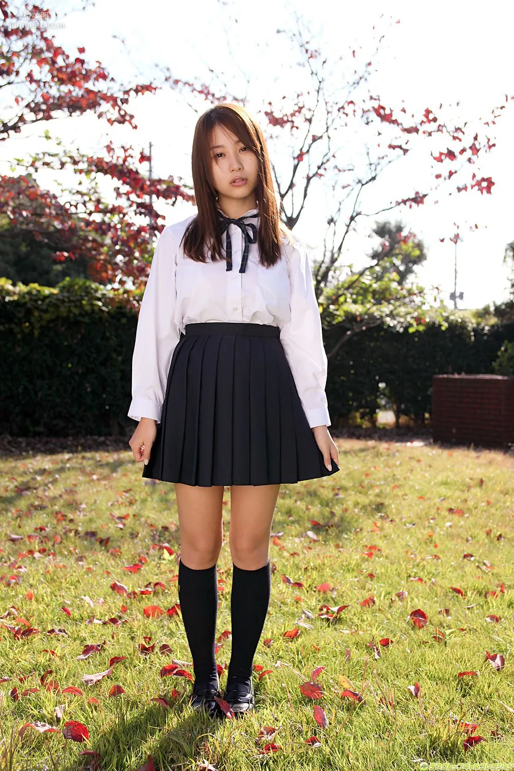 [DGC] NO.915 Mai Nishida Gravure Idols Photo Set photo 52