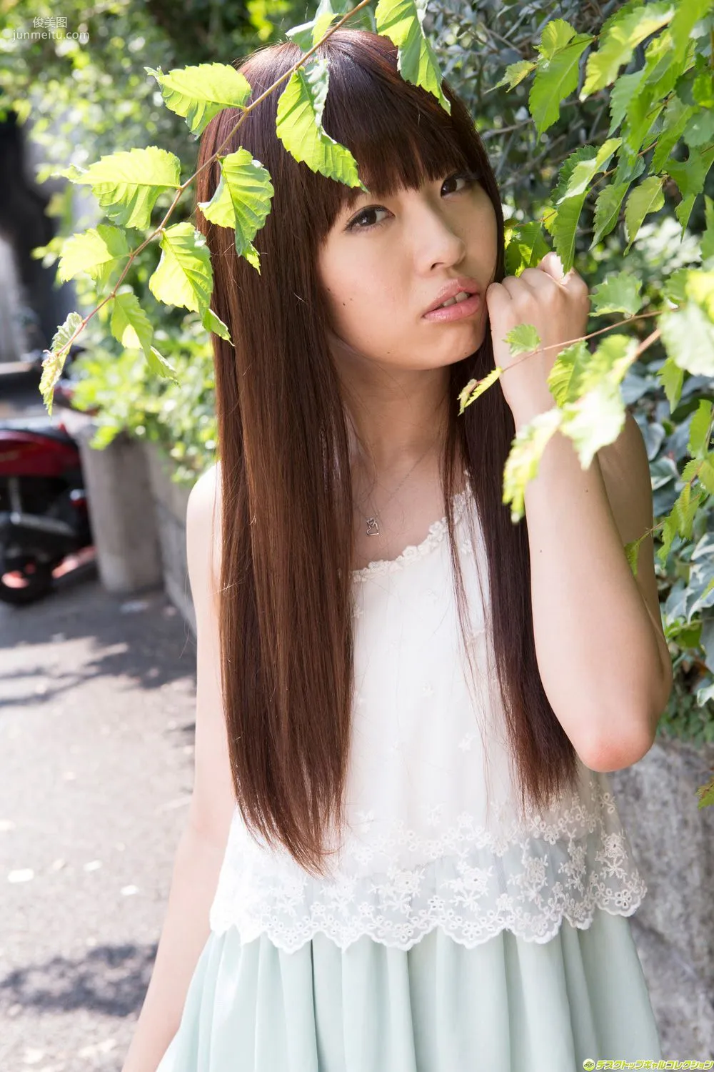 矢野目美有《ミスヤングチャンピオンの》写真集 [DGC] NO.1128 6