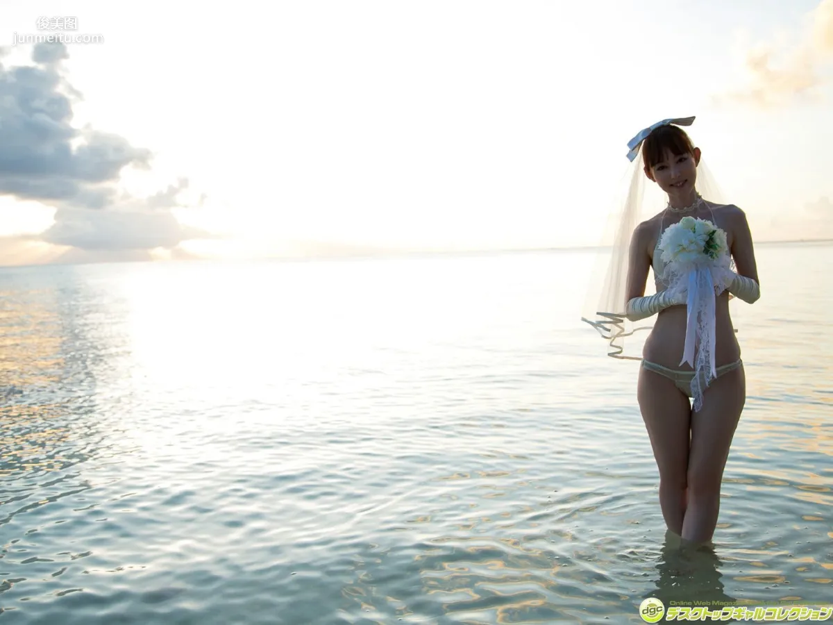 Rina Akiyama《The Strongest Beautiful Butt in the Gravure World 'Oshirina!'》Photo Set [DGC] NO.1286 photo 69