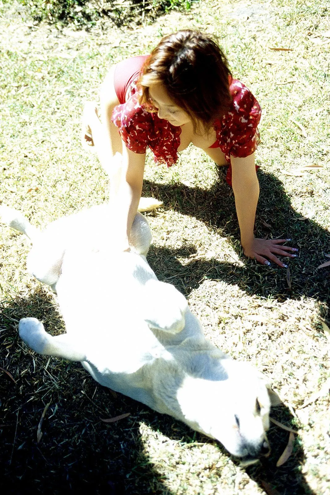 [NS Eyes] SF-No.225 Noriko Sagara 相楽のり子 写真集8