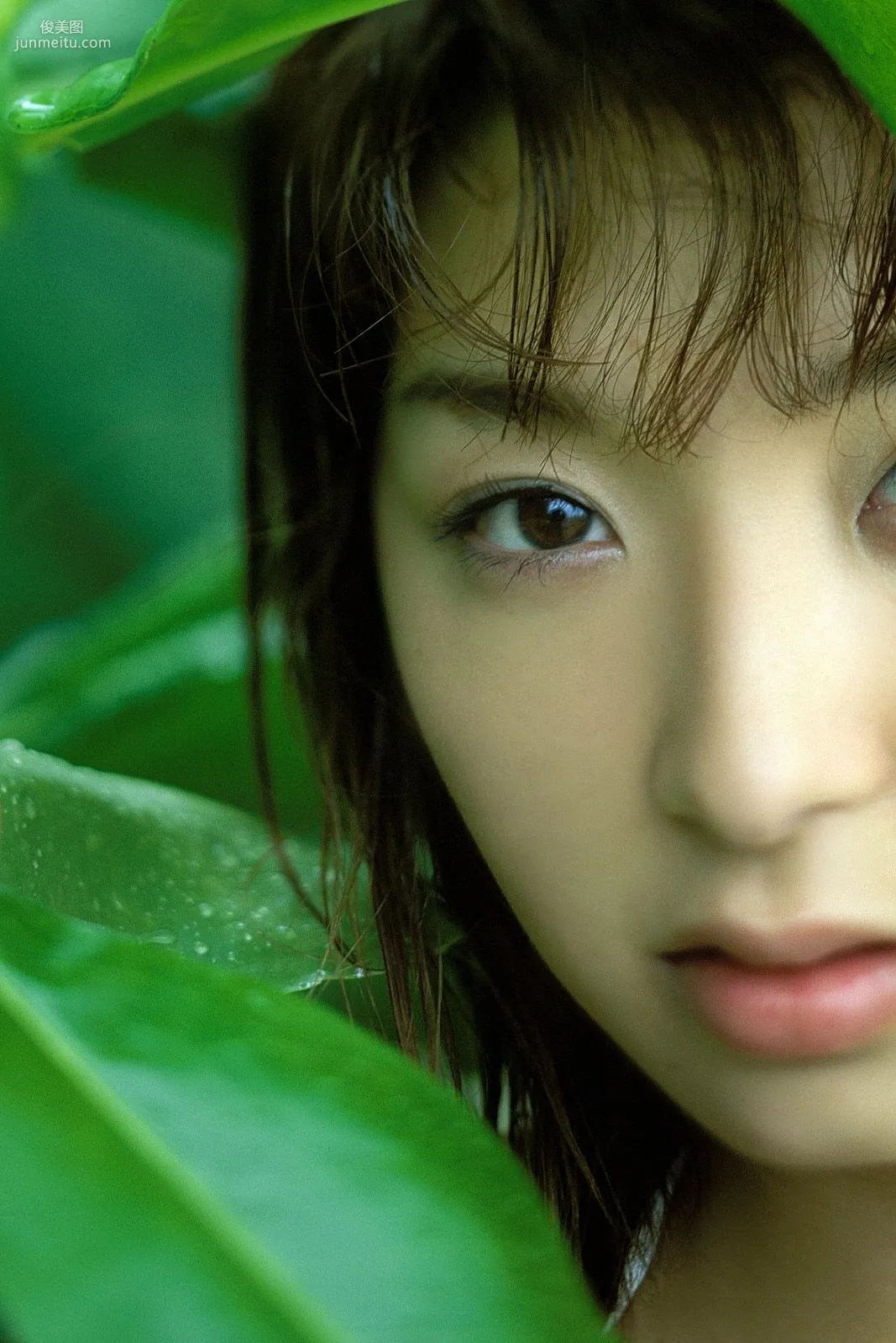 [NS Eyes] SF-No.227 Namiko Wakabayashi 若林菜美子 寫真集 12