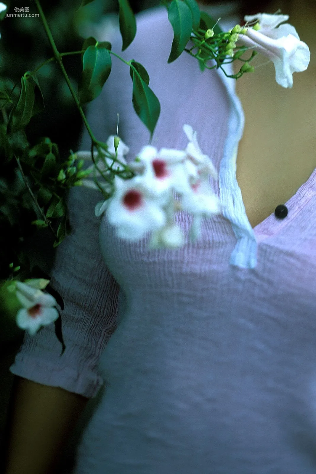 [NS Eyes] SF-No.228 Namiko Wakabayashi 若林菜美子 寫真集 11