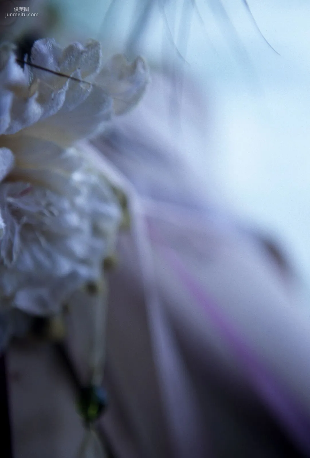 [NS Eyes] SF-No.312 Akari Hoshino 星野あかり 写真集15