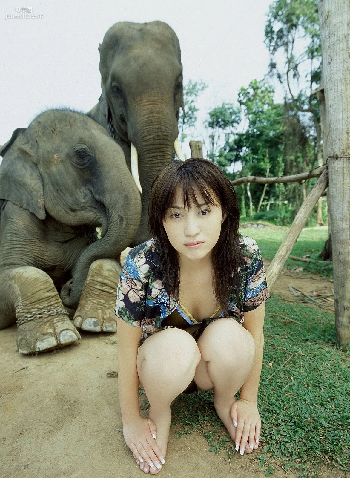 [NS Eyes] SF-No.230 Kana Ito Kana Ito Photo Set photo 36