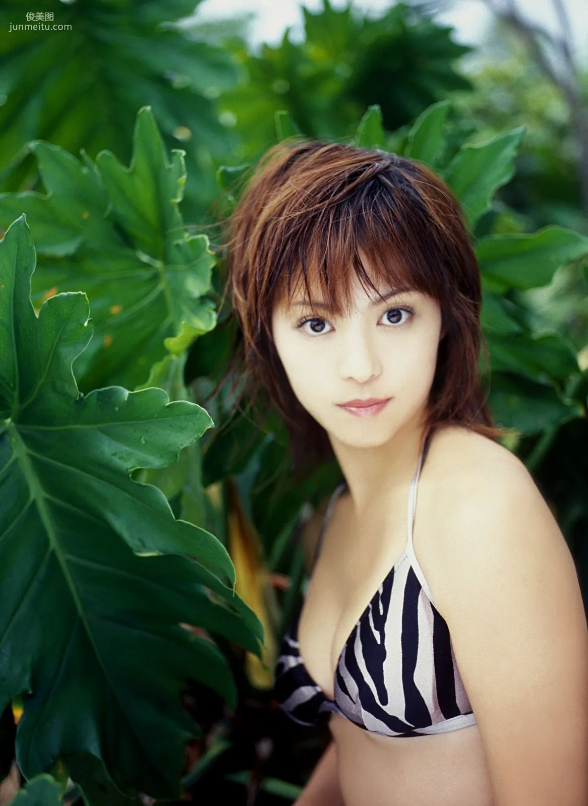 [NS Eyes] SF-No.341 岩佐真悠子 Mayuko Iwasa 写真集2