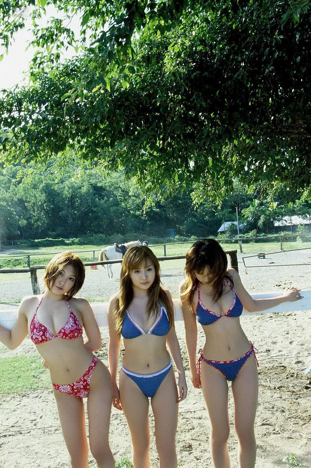 [NS Eyes] SF-No.234 熊田曜子《P-Girl 》寫真集 15