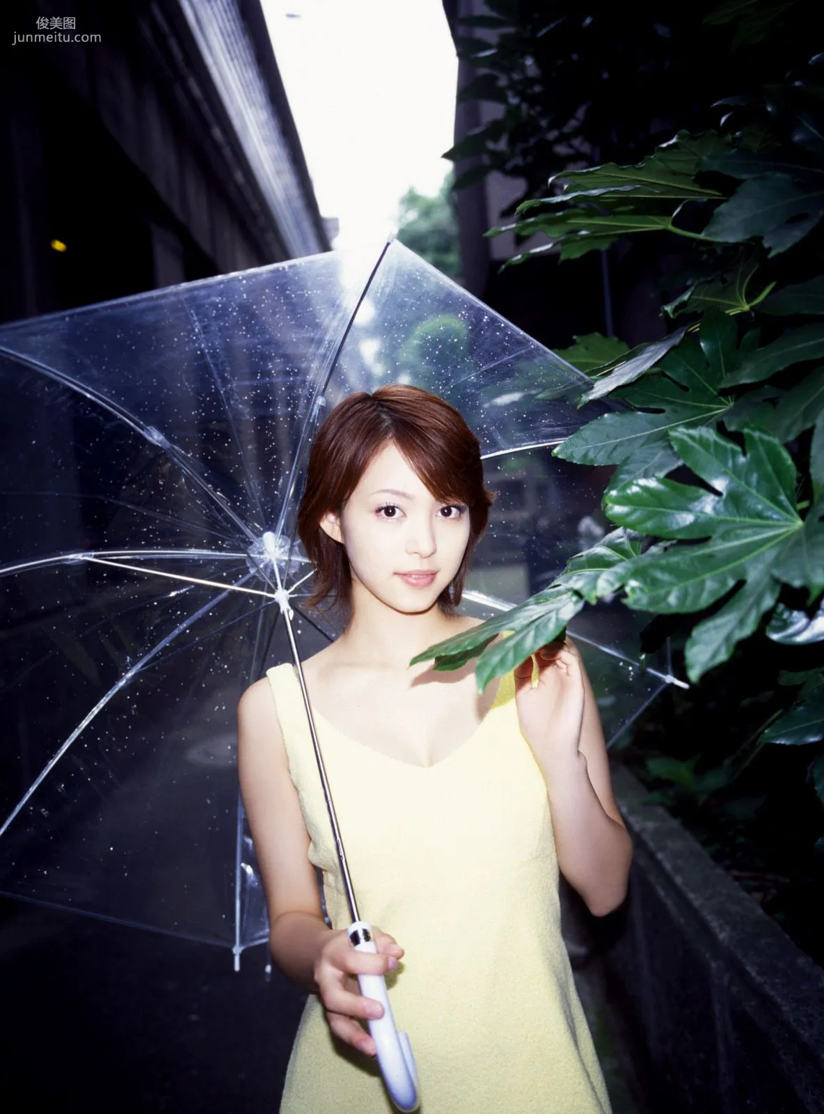 [NS Eyes] SF-No.280 Mayuko Iwasa 岩佐真悠子 写真集1