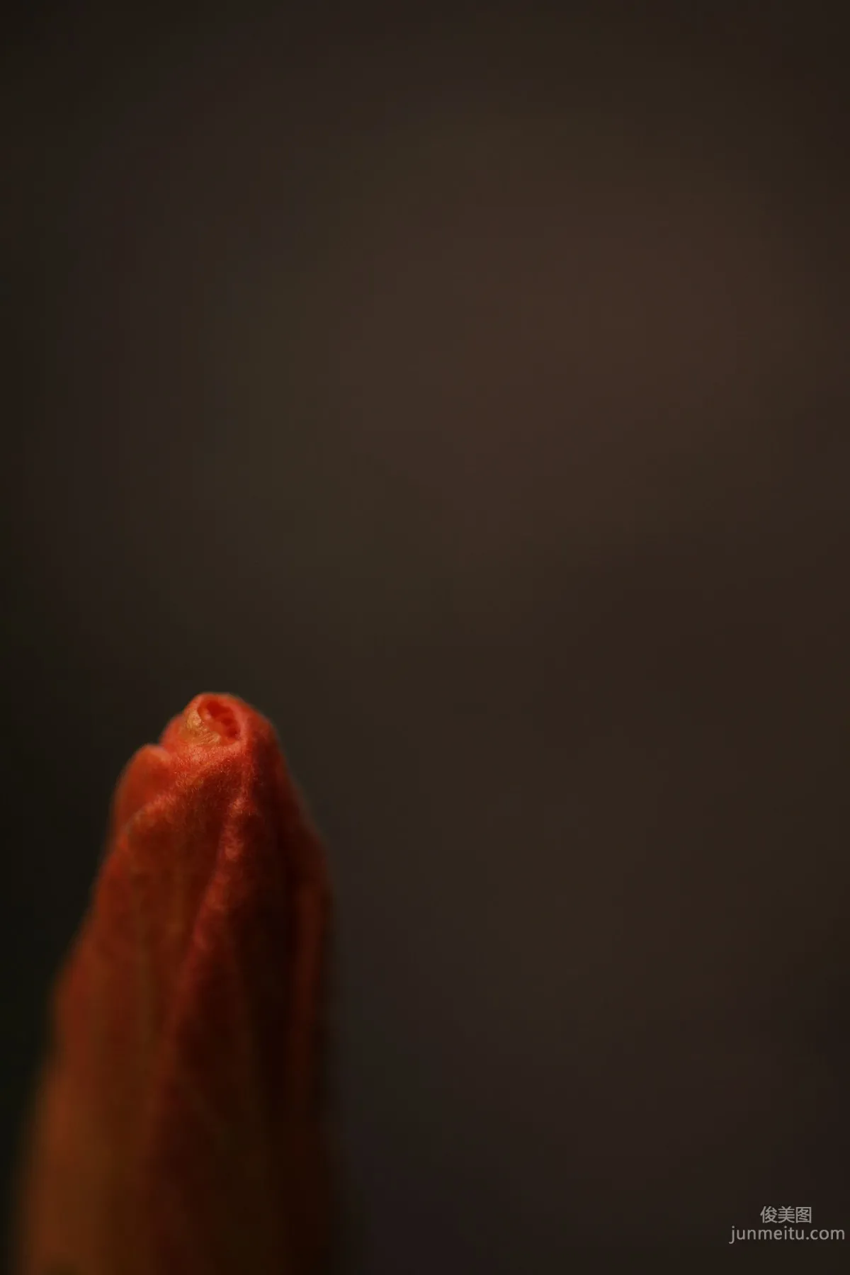 [NS Eyes] SF-No.492 Minase Yashiro 八代みなせ/八代水濑 寫真集 11