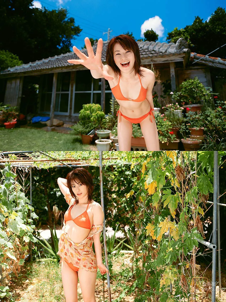 菅井玲 Rei Sugai 《ビタミン ガール!!!!》 [Image.tv] 寫真集 3