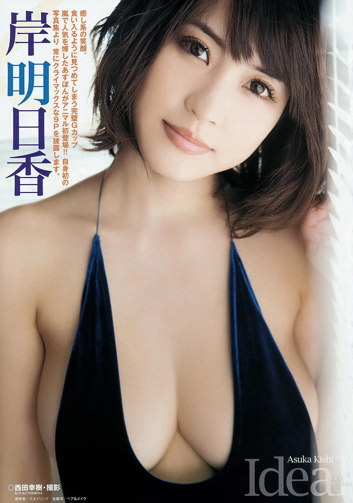 岸明日香 倉持由香 [Young Animal] 2014年No.11 寫真雜志 2