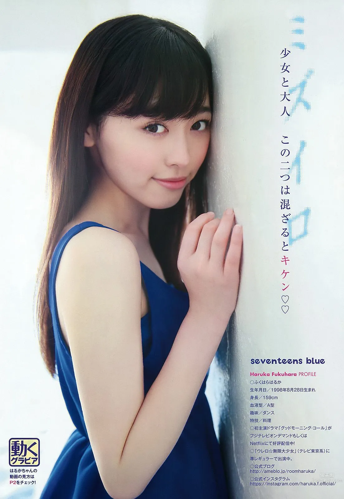 福原遙 新木さくら [Young Animal] 2016年No.07 寫真雜志 10