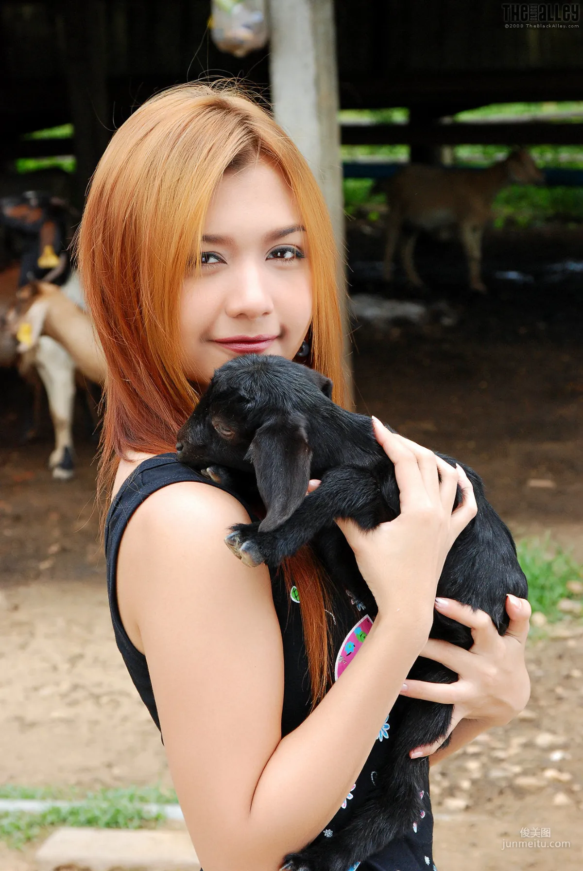 [The Black Alley] Vanessa Cho, Little Black Sheep Cute Girl Photo Set photo 11