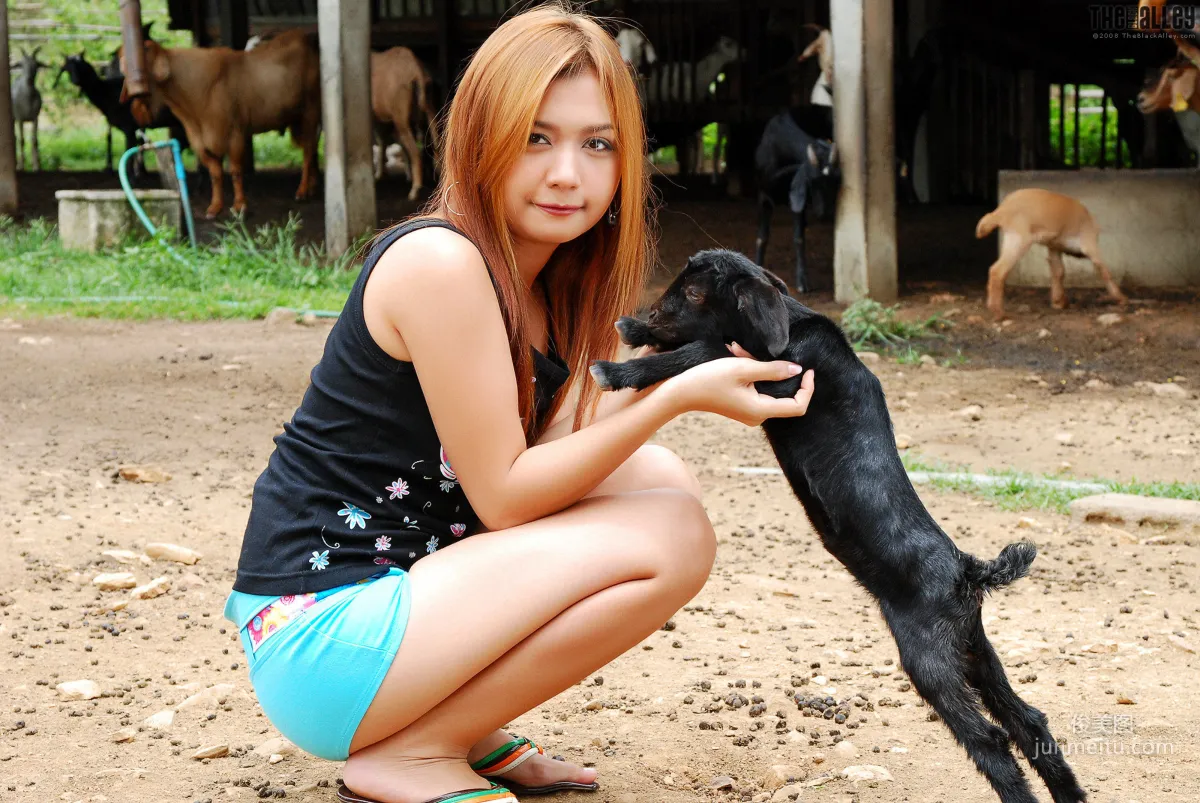 [The Black Alley] Vanessa Cho, Little Black Sheep Cute Girl Photo Set photo 13