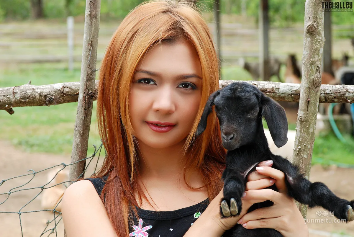 [The Black Alley] Vanessa Cho, Little Black Sheep Cute Girl Photo Set photo 2
