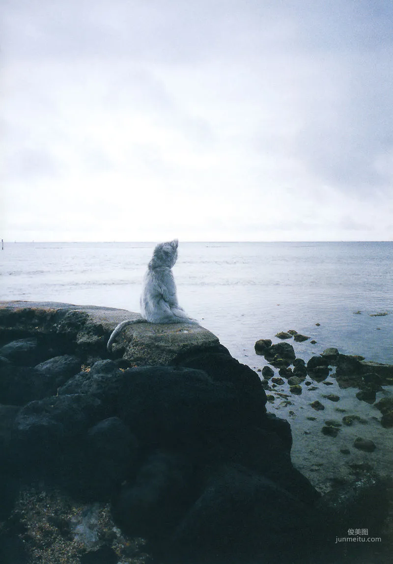若槻千夏《Chinatty》 [PhotoBook] 寫真集 115