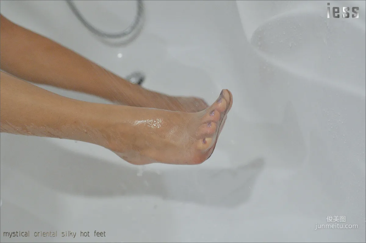 Sasa: IESS No. 031 photo 18