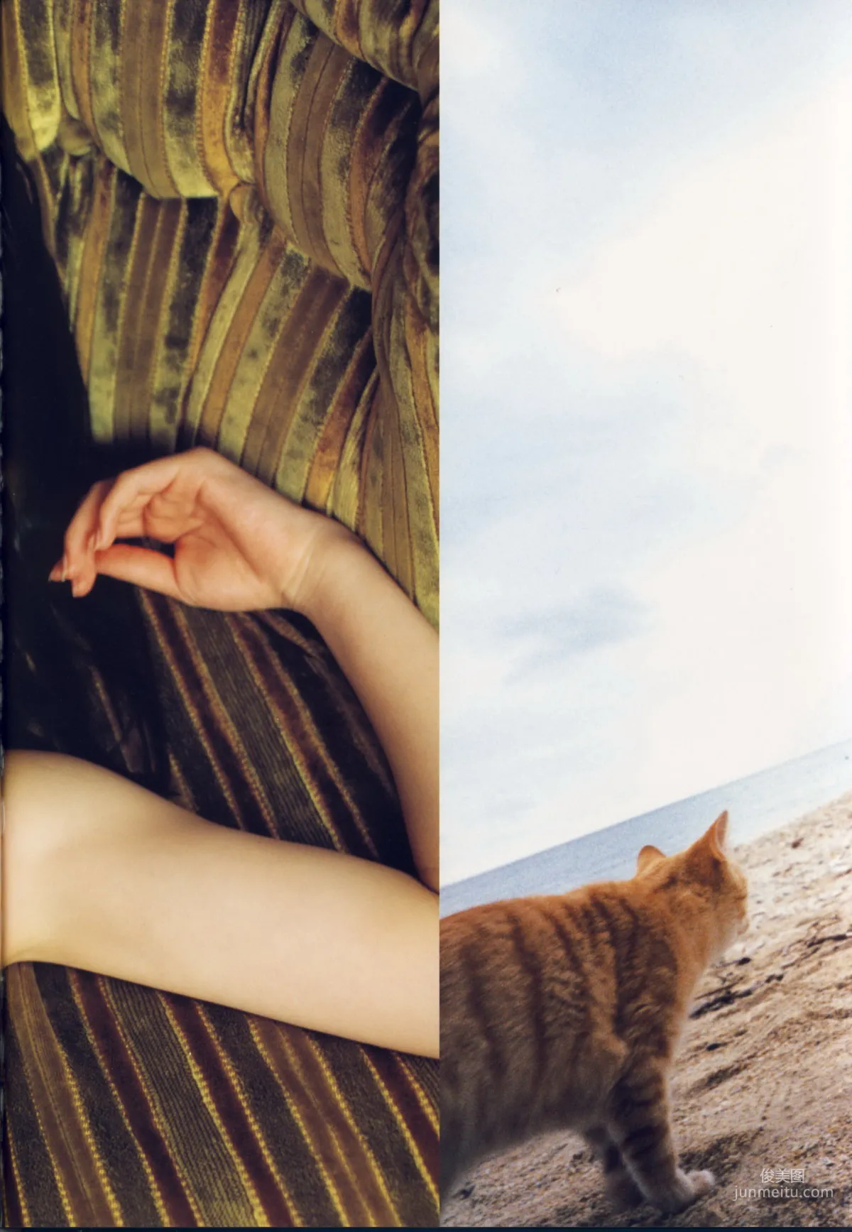 矢島舞美《舞美》 [PhotoBook] 寫真集 29