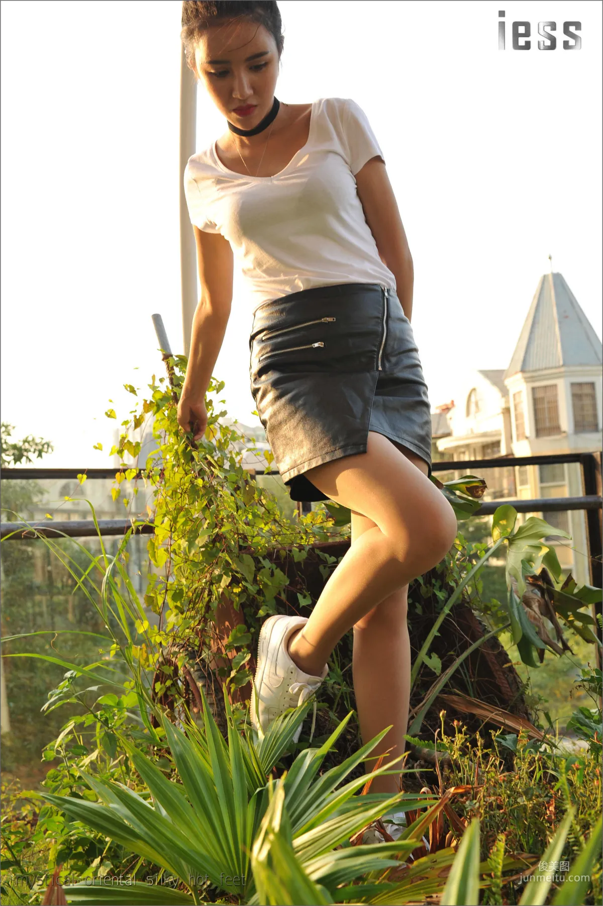 Sasa: IESS No. 016 photo 77