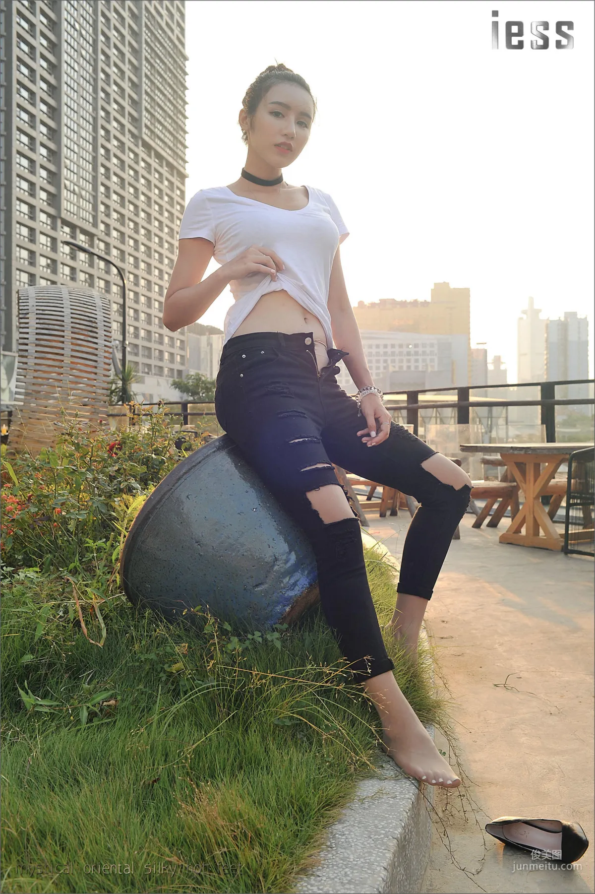 Sasa: IESS No. 018 photo 2
