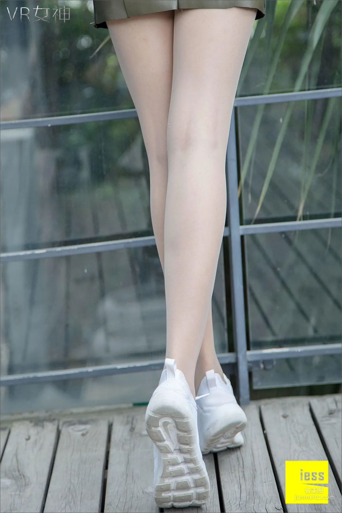 Sasa: IESS No. 004 photo 52
