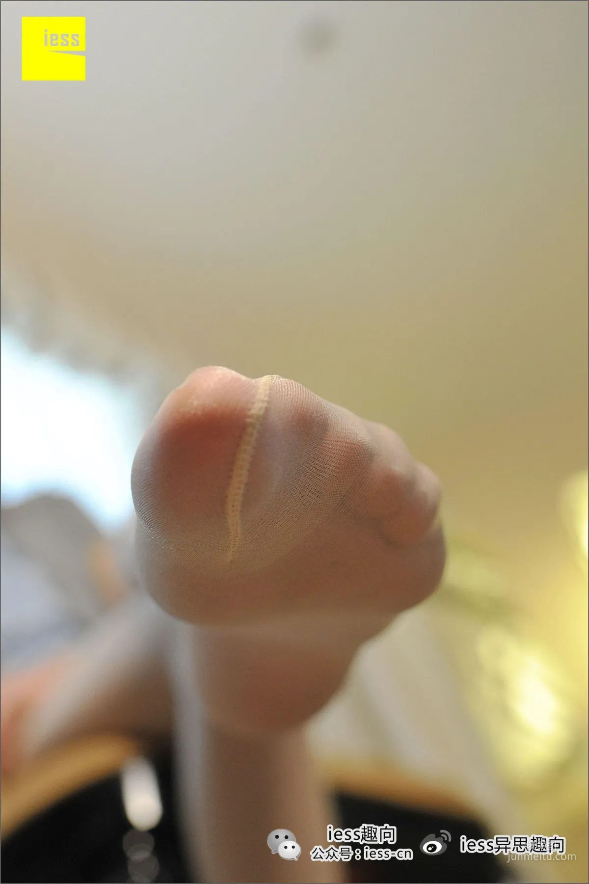 Bing: IESS No. 017 photo 20
