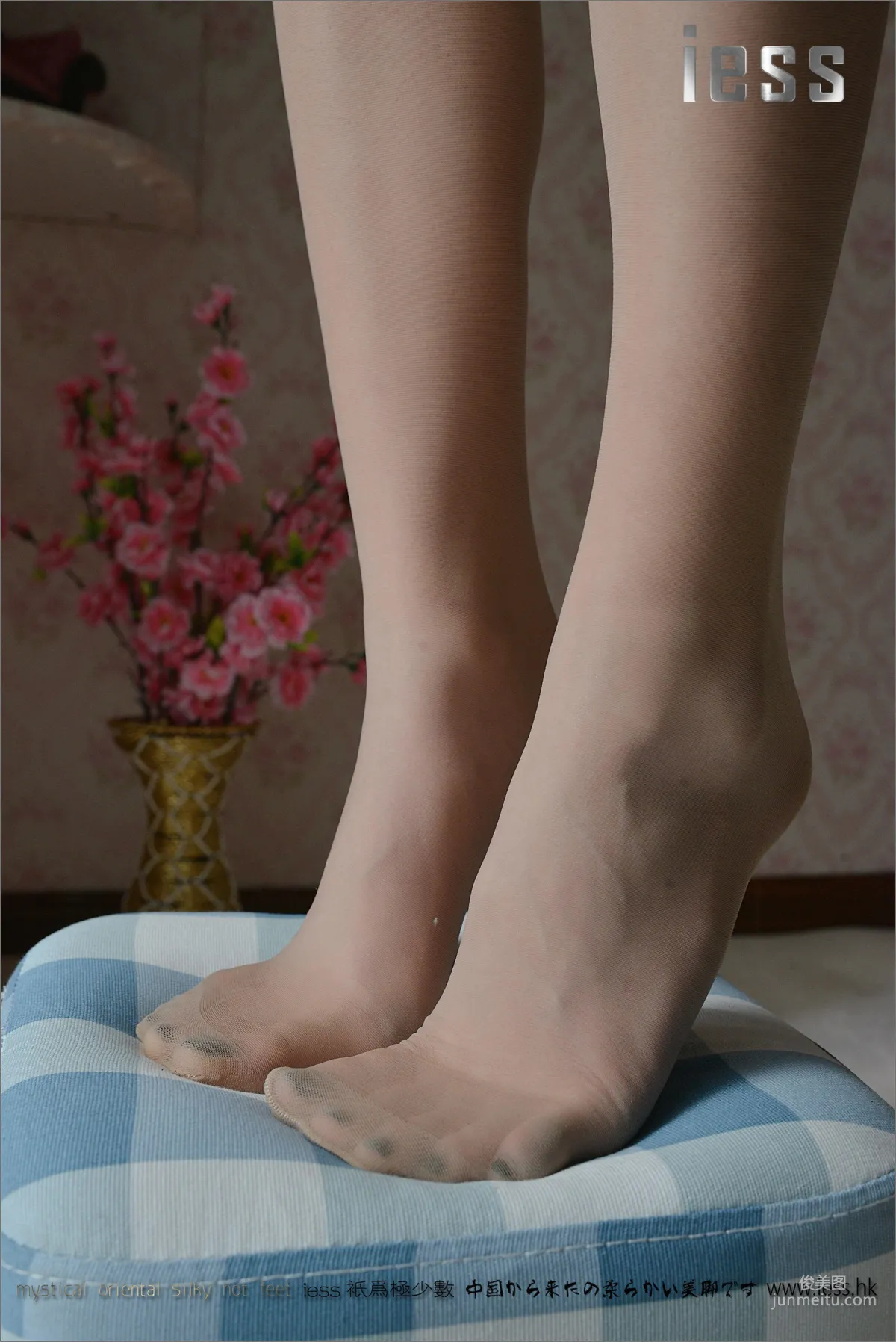 Silk Feet Bento 056 Xiao Xiao, Goddess Interpretation ES6 and Flats [IESS] Photo Set photo 61