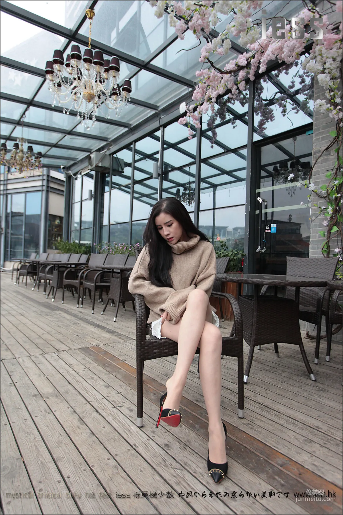 YY: IESS No. 039 photo 55