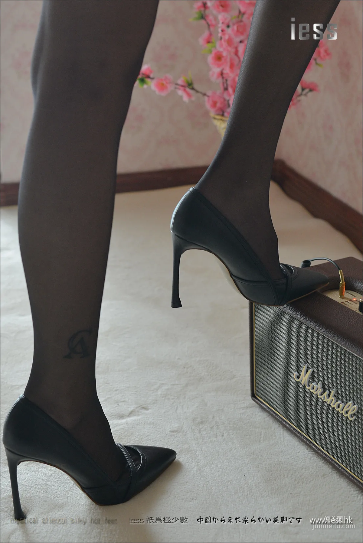 Silk Legs Bento 095 Xiao Xiao, Black Stockings Queen [IESS] Photo Set photo 80
