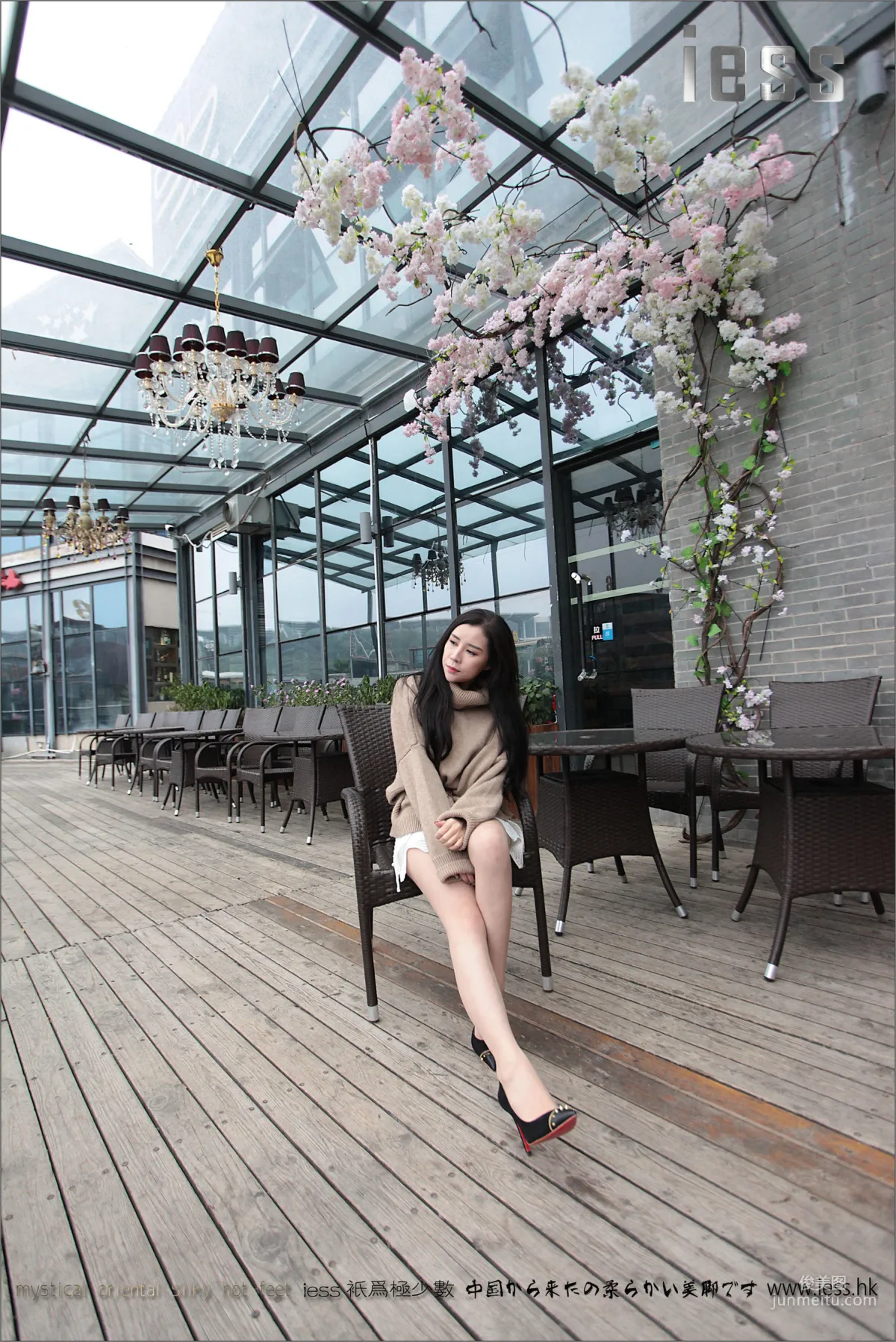 YY: IESS No. 039 photo 47