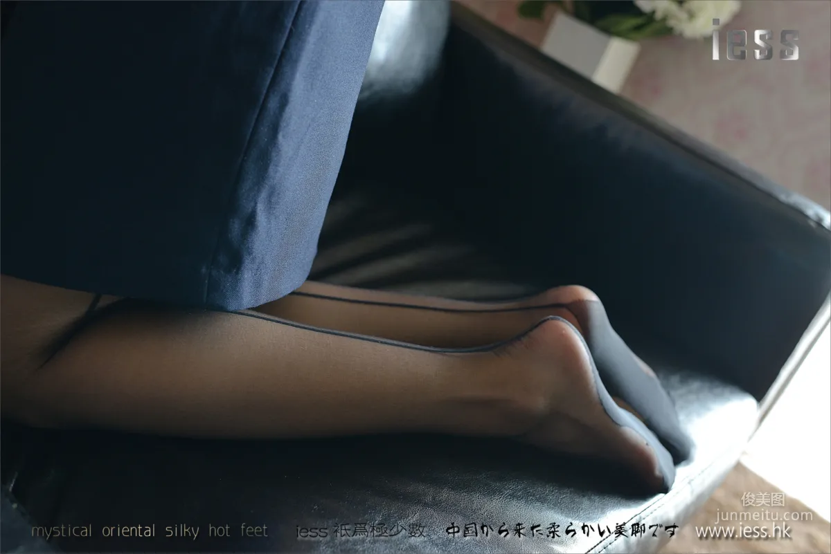 Xiao C: IESS No. 072 photo 16
